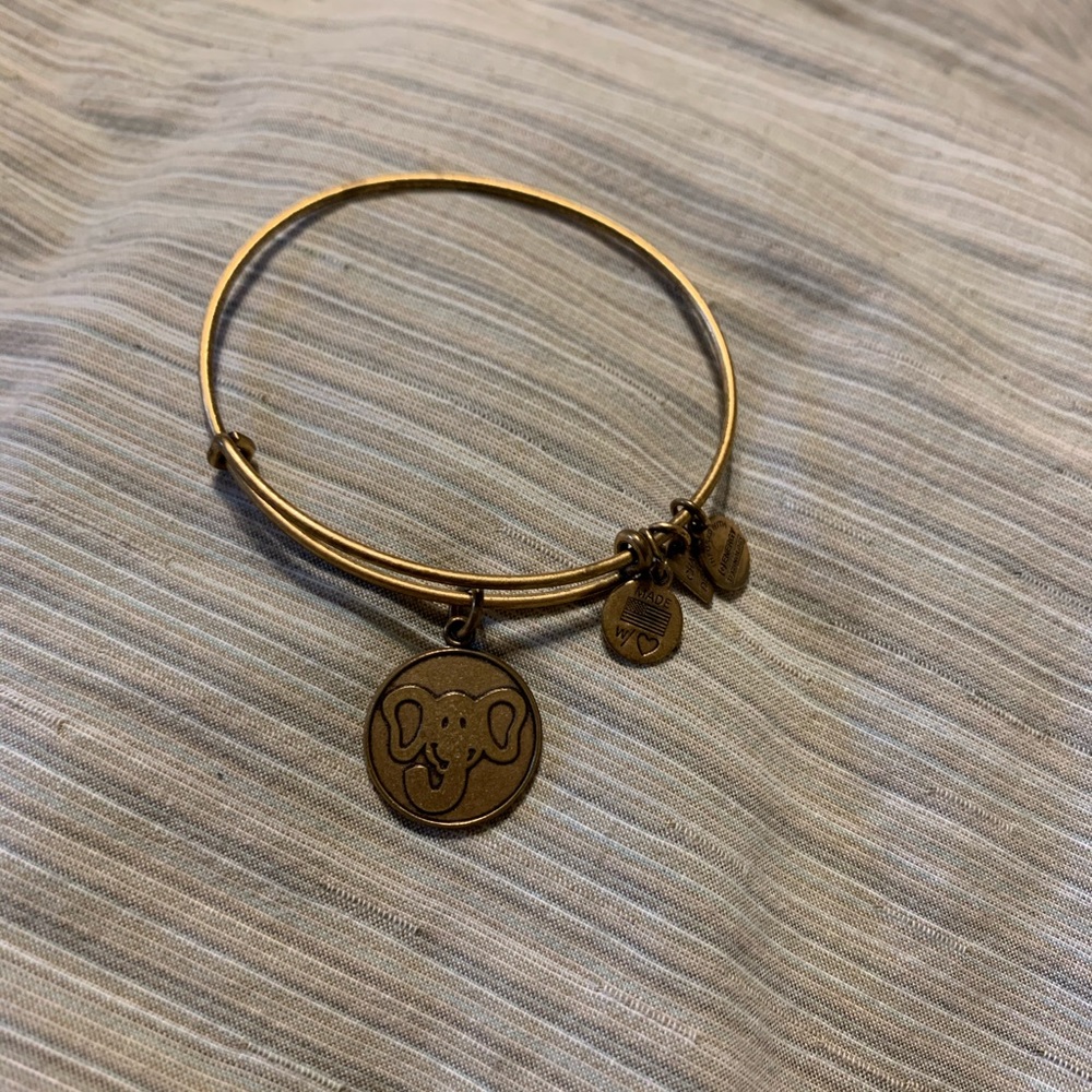 Alex and Ani bracelet